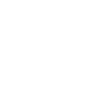 instagramアイコン
